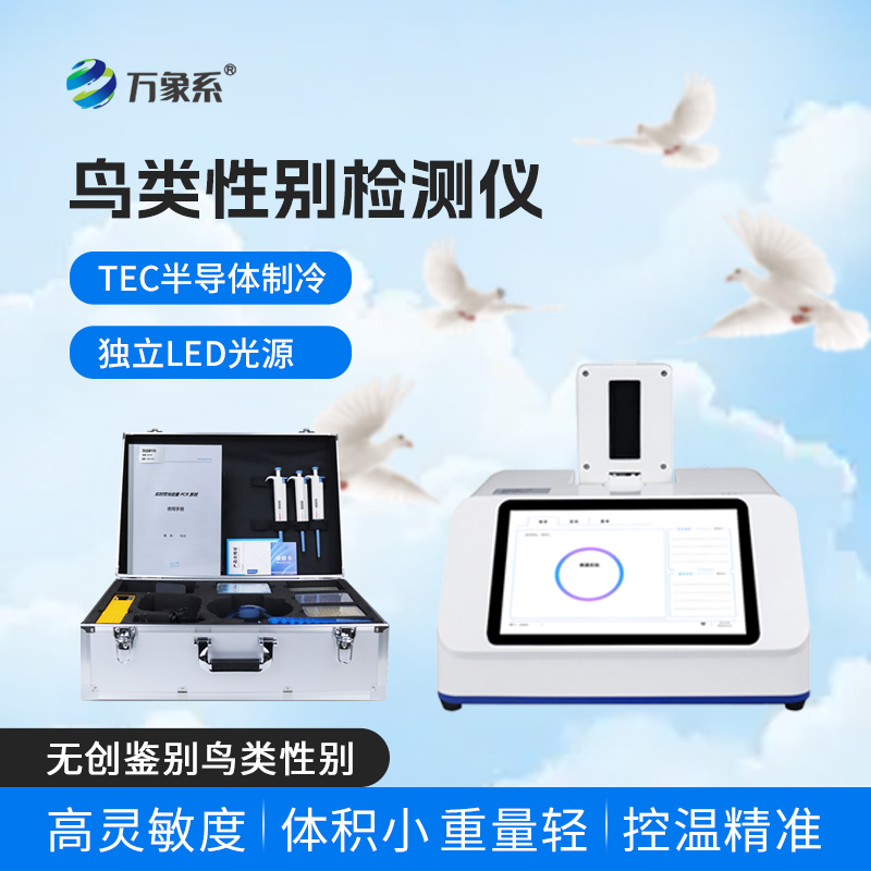 ??小巧便攜還無創，鳥類性別檢測儀解鎖養鴿新便捷